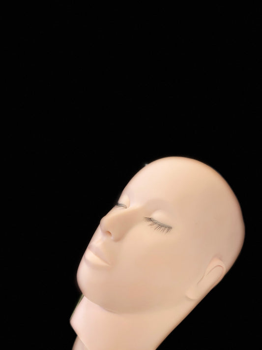 Practice Mannequin With Layers